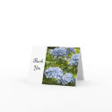 Thank You cards