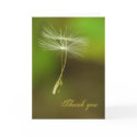 Thank you cards by Rainmountain Thank you cards
