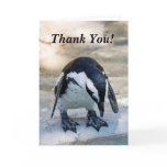 Thank You! cards