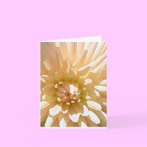 Thank you cards