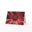 Thank You cards by ggbythebay Thank You cards