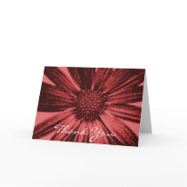Thank You cards