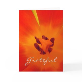 Thank you Card card