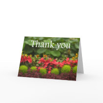 Thank you cards