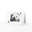 Thank You cards by EmShad Thank You cards
