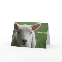 Thank you! cards