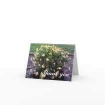 Thank you cards