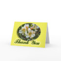 thank you cards