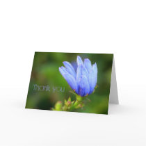 Thank you cards by Rainmountain Thank you cards