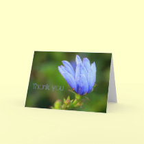 Thank you cards by Rainmountain Thank you cards