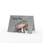 Thank You Greeting Card