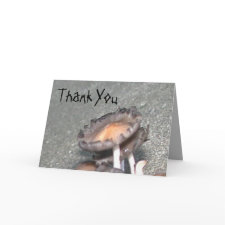 Thank You card