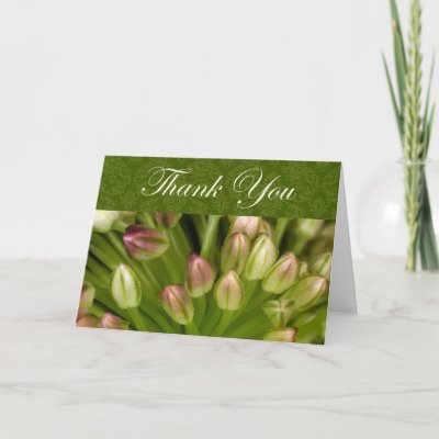 Thank You Cards by