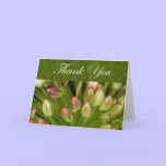 Thank You cards