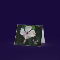 Thank You Card