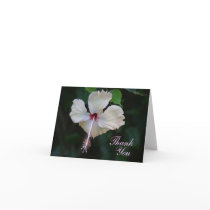 Thank You Card by ChubbyCatGalleries Thank You Card