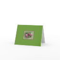 Thank You cards