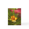 Thank You cards