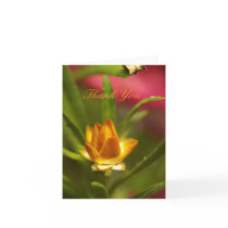 Thank You cards