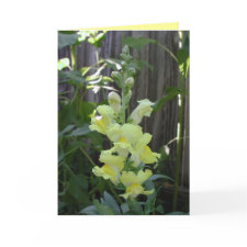 Thank You card