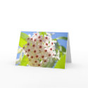 Thank You Card