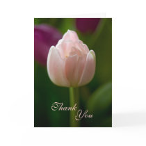 Thank You Card