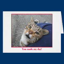 Thank You Card. cards