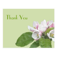 Thank you card after parties, apple flowers postcard