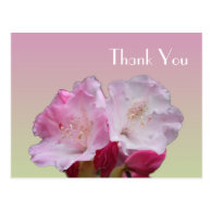Thank you card after parties postcards