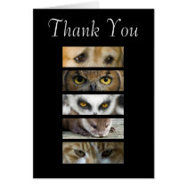 Thank You Card - Animals Eyes
