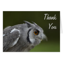 Thank You Card - Baby Grey Owl