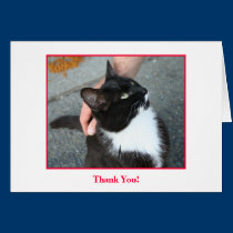 Thank You Card, blank inside. cards