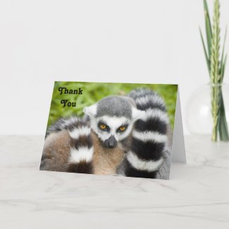 Thank You Card - Cute Lemur Stripey Tail