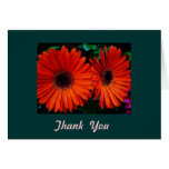 thank you card double orange color daisy flowers greeting cards