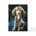 THANK YOU CARD, FUNNY by finnellopi THANK YOU CARD, FUNNY