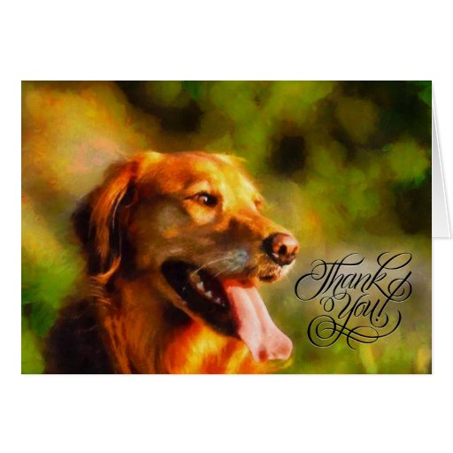 Thank You Card Golden Retriever Dog Canine Zazzle
