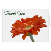Thank You Card - Orange Daisy Gerbera Flower