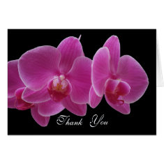 Thank You Card -- Orchids