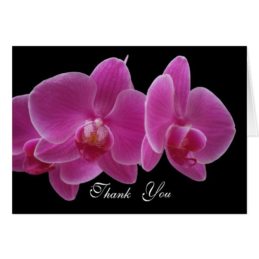 Thank You Card -- Orchids | Zazzle