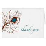 thank you card {peacock feather}