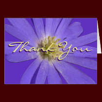 Thank You Card Personalize Blue Daisy Flower Cards cards