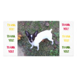 Thank You Card Photo Greeting Card