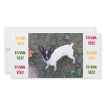 Thank You Card Photo Greeting Card