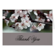 thank you card plum flowers greeting card