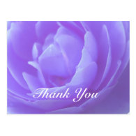 Thank you card, purple rose flower post cards