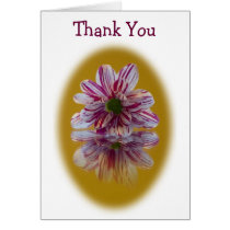 Thank You Card - Striped Daisy Gerbera pink yellow
