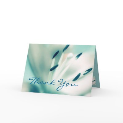 Cheap Wedding Shower Gifts on Bridal Shower Thank You Gift For Bridal Shower Hostess Cheap Bridal