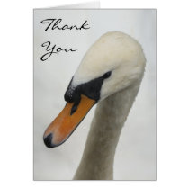 Thank You Card - White Macro Swan