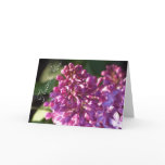 Thank You Card with Lilacs