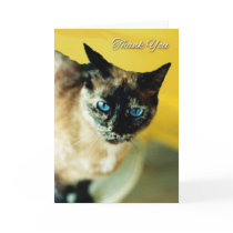 Thank You Card with Mottled Colored Siamese Cat